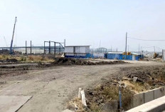 Manajemen PT SAI Bantah Isu Pengancaman Pekerja Proyek Smelter di PIER