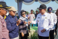  Lawan Wereng, Pemkab Lamongan Kerahkan Drone untuk Jaga Lumbung Padi Jatim