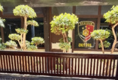 Bejat! Ayah Siri di Lamongan Tega Cabuli Anak Sambung Hingga Hamil 6 Bulan