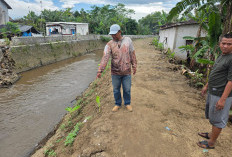 Balita Dua Tahun Ditemukan Meninggal Dunia di Sungai Petung Pasuruan