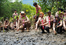 Sedekah Oksigen Lewat Tanam Mangrove Kak Khofifah Ajak Pramuka Jatim Lestarikan Lingkungan