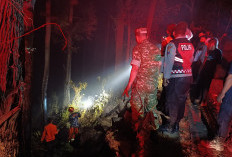 Kebakaran Hutan Pinus di Kendal Ngawi, 0,2 Hektare Terdampak, Api Berhasil Dipadamkan