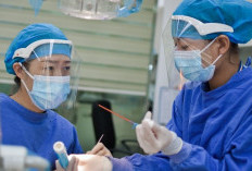 Sejarah dan Tema Hari Kesehatan Sedunia 7 April 2026 Mendukung Sains untuk Kesehatan Global 