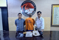 Polresta Banyuwangi Gagalkan Pengiriman Ganja, Satu Tersangka Diamankan