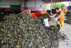Tekan Volume Sampah ke TPA, Surabaya Irit Rp 6,73 Miliar
