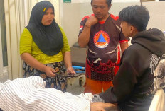  Pengendara Motor Terluka Tertimpa Pohon Tumbang di Pasuruan