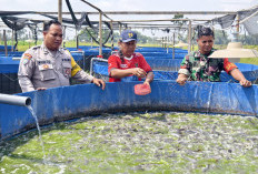 Bhabinkamtibmas Padas Monitoring Budidaya Lele, Dukung Ketahanan Pangan Warga