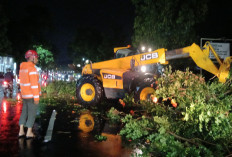 Angin Kencang Terjang Jombang, Pohon Tumbang dan Reklame Roboh di Sejumlah Titik