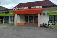 Tanpa Naikkan Pajak PAD Jember Melonjak, Strategi Hati Bupati Fawait Mampu Gerakkan Partisipasi Warga