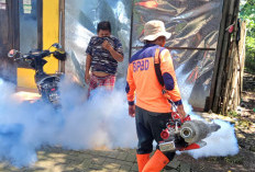 Temukan Kasus DBD, Petugas Masuk Kampung Semprot Fogging
