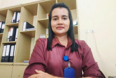 Pengalaman Nyata Desly, Mudik Tenang Bersama JKN