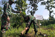 TNI Kediri Hijaukan Lereng Arjuno di Kandangan