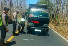 Gagal Nyalip di Jalan Nasional Hutan Baluran, Nyawa Pemotor Asal Panji Situbondo Melayang Usai Tabrak Truk Box