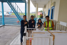 PMI Jember Kirim Ratusan Kantong Darah ke Sumatera, Didukung Penuh Maskapai Fly Jaya