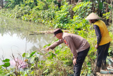 Lansia Asal Baron Ditemukan Meninggal di Pinggir Rawa Desa Sonoageng Nganjuk