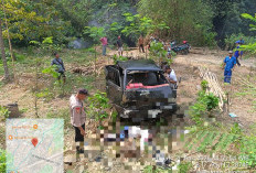 Sopir Ngantuk, Pikap Terjun Bebas ke Jurang Sungai Jari Blitar, Pengemudi Tewas
