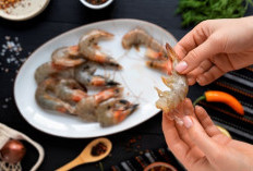 Benarkah Udang Bikin Kolesterol Naik? Ini Fakta Ilmiah yang Sering Disalahpahami