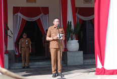 Wali Kota Wahyu Tegaskan Pengembangan Karier ASN Berbasis Manajemen Talenta