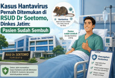 Kasus Hantavirus Pernah Ditemukan di RSUD Dr Soetomo, Dinkes Jatim: Pasien Sudah Sembuh