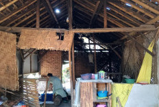 Ironi di Balik Rimbun Hutan, Gus Fawait Siapkan Strategi Radikal Entaskan 90 Ribu KK Miskin Ekstrem