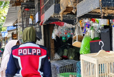 20 Tahun Saluran Air Tertimbun, 21 Lapak Liar di Bratang Surabaya Dibongkar