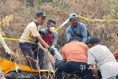Terpeleset di Jurang Terjal, Pertapa di Situbondo Ditemukan Tewas Berkat Aksi Anjing