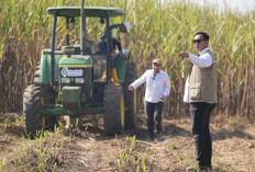 Panen Raya Serentak di Malang Perkuat Serapan Gabah, Bulog Kejar Target 4 Juta Ton