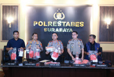 Diamankan di 4 Titik, 11 Terduga Perusuh Demo di Grahadi Berasal dari Surabaya dan Sidoarjo