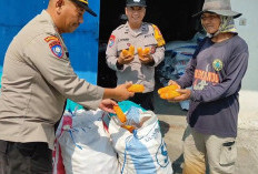 Polsek Tanggulangin Dampingi Gapoktan Randegan Jemur Hasil Panen Jagung