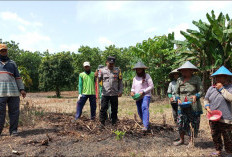 Dukung Ketahanan Pangan, Bhabinkamtibmas Desa Leran Turun Langsung Dampingi Petani Tanam Jagung