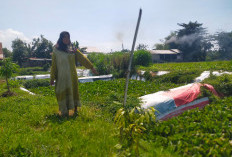 Lahan Dicaplok, Ganti Rugi Tak Jelas, Warga Mayangan Keluhkan Proyek IPAL