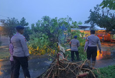 Hujan Disertai Angin Kencang Robohkan Puluhan Pohon, Polres Kediri Kota Bergerak Cepat Lakukan Evakuasi