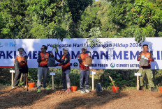 Hari Lingkungan Hidup, PT POMI Tanam Pohon di Hutan Lindung Selobanteng
