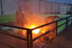 Respons Laporan Warga, Polsek Candi Datangi Lokasi Dugaan Sabung Ayam di Desa Klurak