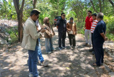Unik, Pohon Mangrove Tumbuh Subur di Kelurahan Balas Klumprik Meski Jauh dari Pesisir Laut