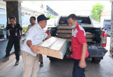 Ditpolairud Polda Jatim Amankan 287 Ekor Burung Tanpa Dokumen di Pelabuhan Tanjung Perak