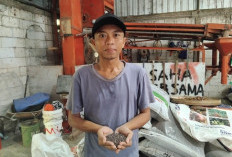 Kisah Sukses Dony Kristanto, Pemuda Jombang yang Bangun Imperium Benih Sayur Bersama 200 Petani Jawa Timur