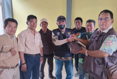 F-Wamipro Gelar Rakor Anggota Terkait Kemitraan dengan Pemkab dan Pemkot