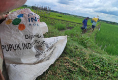 Disperta Beri Kesempatan Petani yang Belum Terdaftar, Usulan Kebutuhan Pupuk Masih Bisa Bertambah