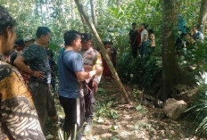 Kerangka Manusia Berserakan Ditemukan di Gunung Tengu Kalisat, Polisi Lakukan Identifikasi