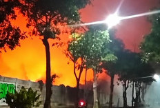Kebakaran Landa Lahan Kosong di Kawasan Sukolilo Larangan, Damkar Surabaya Gerak Cepat Padamkan Api