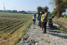 Bhabinkamtibmas Dampingi Petani Jagung, Perkuat Ketahanan Pangan di Kota Kediri