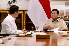 870 Ribu Hektare Perkebunan Rakyat Disiapkan, Ciptakan Lapangan Kerja Baru