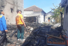 Kebakaran Mimbo Situbondo Hanguskan 3 Rumah Lansia, Uang Tunai Rp 160 Juta Ludes