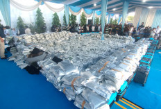 3,37 Ton Cannabis Buds Dibongkar BNN RI di Gresik, Bali Jadi Sasaran Utama Distribusi