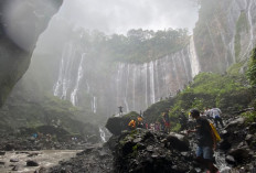 5 Destinasi Wisata Alam di Lumajang yang Wajib Kalian Jelajahi Saat Liburan