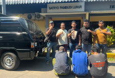 Apes! Aksi Komplotan Maling Sapi di Tutur Berakhir di Tangan Polisi