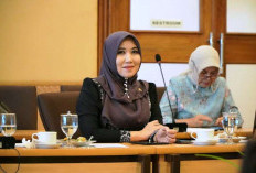 Di Tengah Ledakan Platform Digital, Senator Lia Dorong Reformasi Perlindungan Konsumen