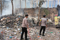 Kebakaran Kandang di Blitar, Tiga Kambing dan Toyota Hiace Hangus, Rugi Rp60 Juta