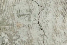 Jalan Cor Rp500 Juta di Desa Sembung Lamongan Retak Dini, Dugaan Material Tak Sesuai Spesifikasi